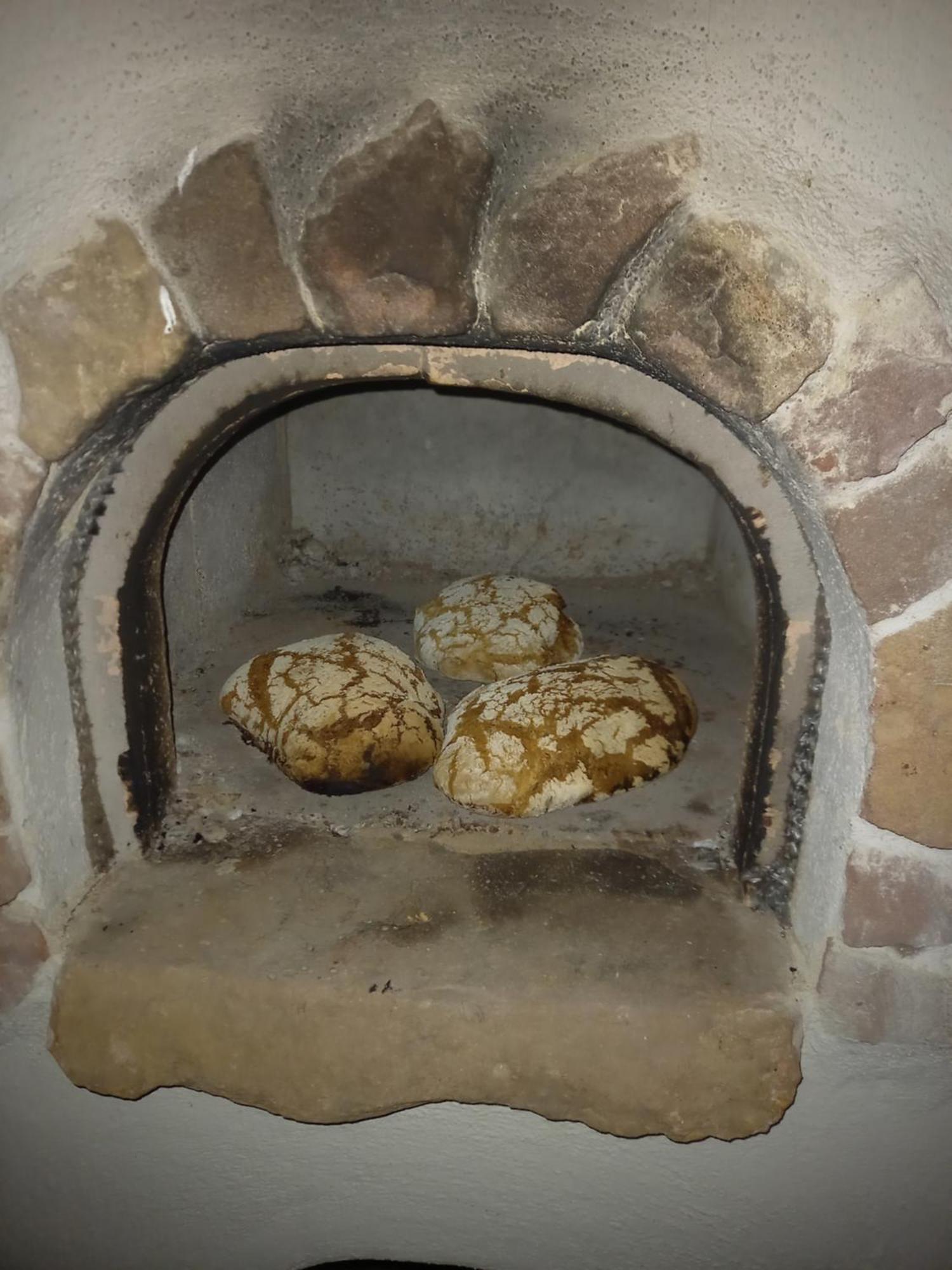 Wickys Igelnest Appartement Malsch  Buitenkant foto